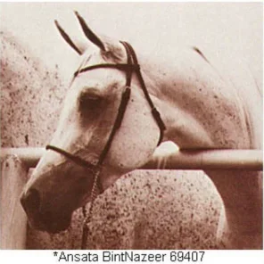 ANSATA BINTNAZEER