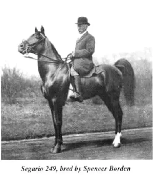 Segario