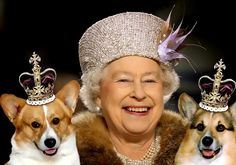 The Englilsh Royals and a Few of their Pets!