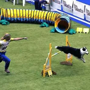 Agility Part 1