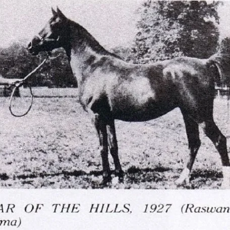 Star Of The Hills