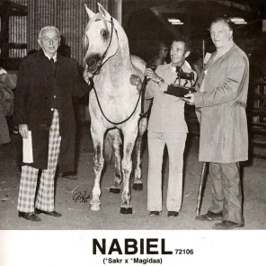 NABIEL+/