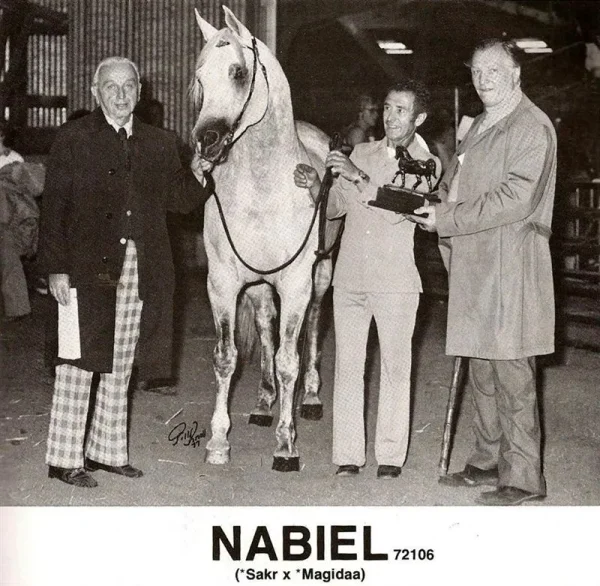 NABIEL+/