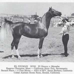 El Nigmah
