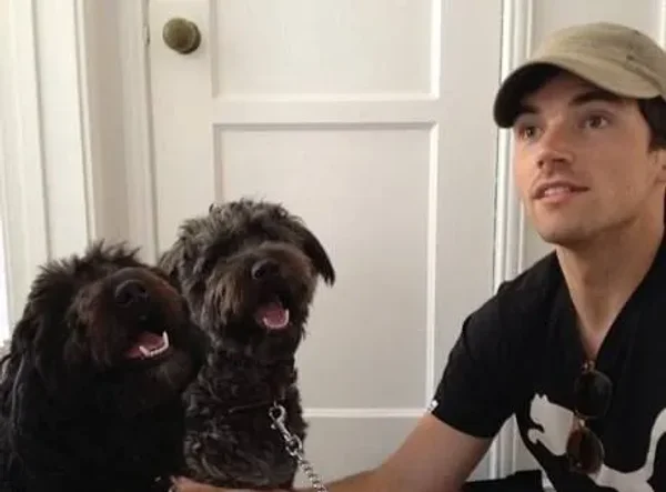 Ashley Benson 
Pet Name: Olive
Breed: Maltese Shih Tzu
Ian Harding
Pet Names: Bailey and Mochi 
Breed: Labradoodle
Trivia: He adopted them through the Adopt LA and Dogs 
Keegan Allen 
Pet Name: Minin 
Breed: Burmese cat 
Lucy Hale 
Pet Name: Ja