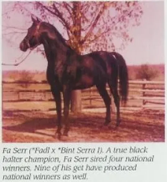 Fa-Serr