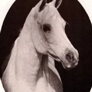 ANSATA BINT MABROUKA
