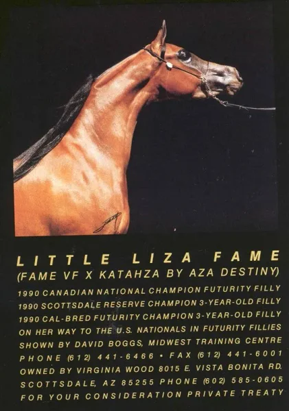 LITTLE LIZA FAME