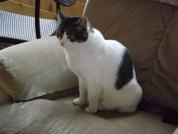 Tiny