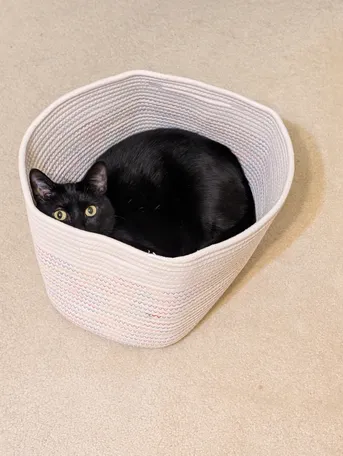 Perfectly sized basket
