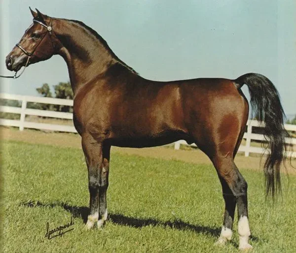 KHARI