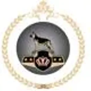 Information About Service Dogs