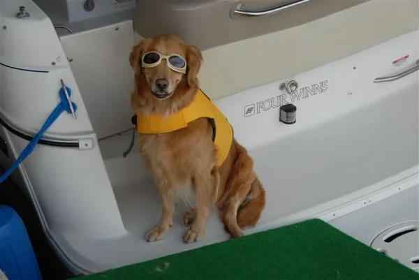 I'm suited up and ready to tube!