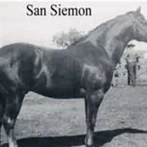 San Siemon