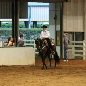 Morgan Southern States Regional Show