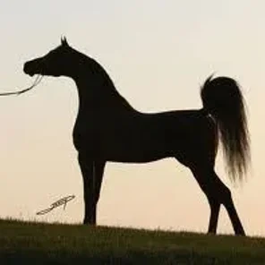 DA VALENTINO
