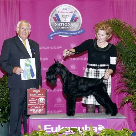 AKC Dog Show