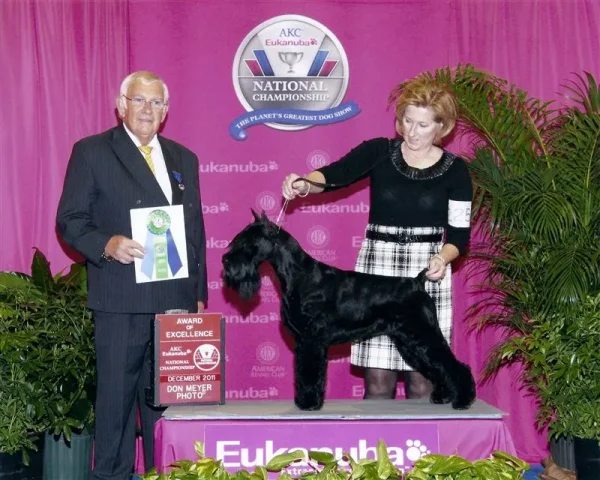 AKC Dog Show