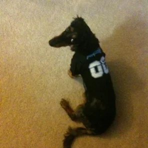 Rudy