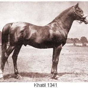 Khatil