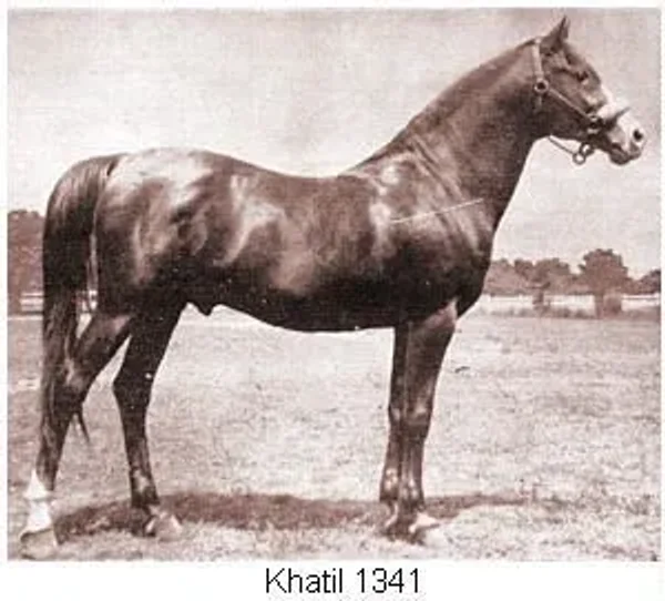 Khatil