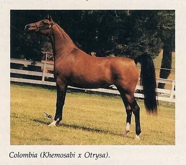 Colombia