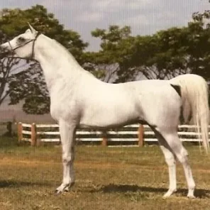 Prichal