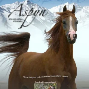 ASPYN