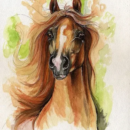 Image used to represent MI AMBER DREAM