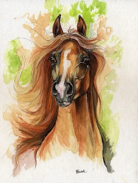 Image used to represent MI AMBER DREAM