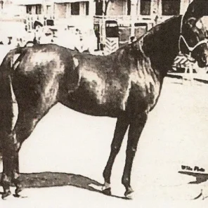Zaleban