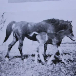 Raleh
