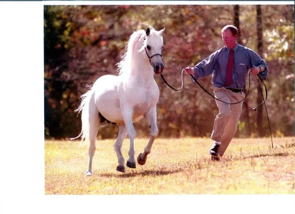 Spartanburg newspaper photo, Dr. D and Whiz
