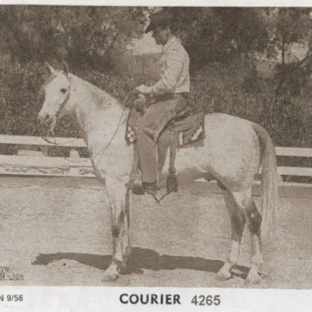 Courier