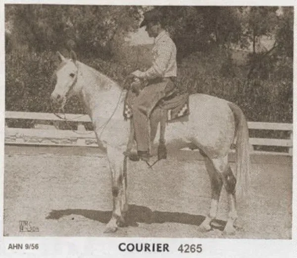 Courier