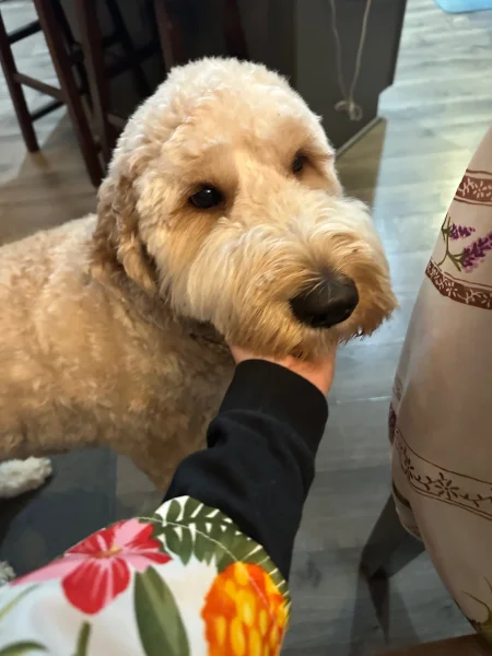 
          Baxter
        
