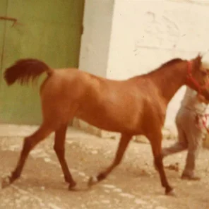 Estiba