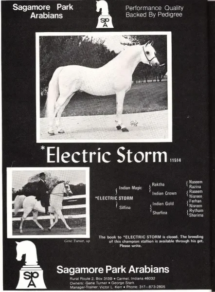 ELECTRIC STORM