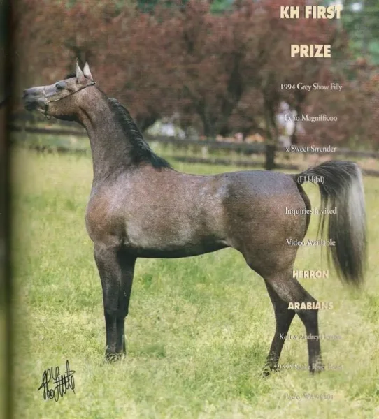KH First Prize