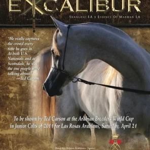 EXCALIBUR EA