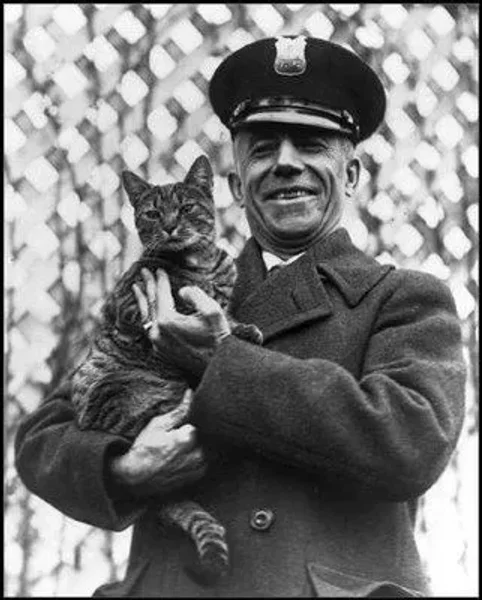 Our U.S. Presidents and some their Pets