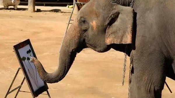 A few animals are prodigious producers of ‘art’, says Jason G Goldman. Why do they do it Do they enjoy the creative process And is their work any good