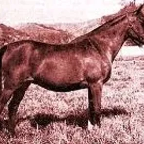 Farnasa