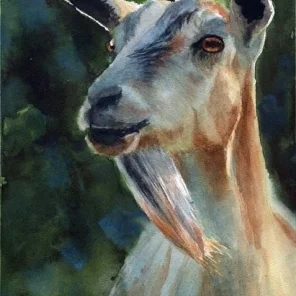 Goat Tales