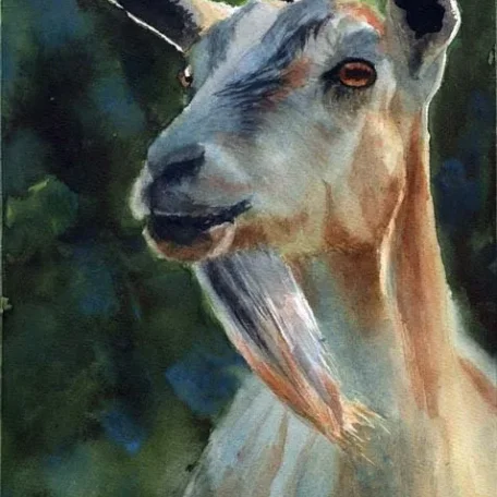 Goats for Diana