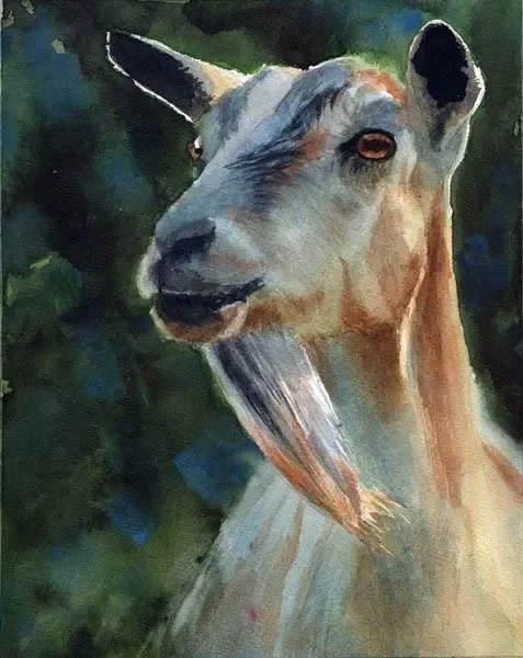 Goat Tales